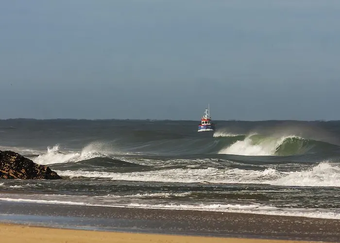 Guest house Homemoel 3*